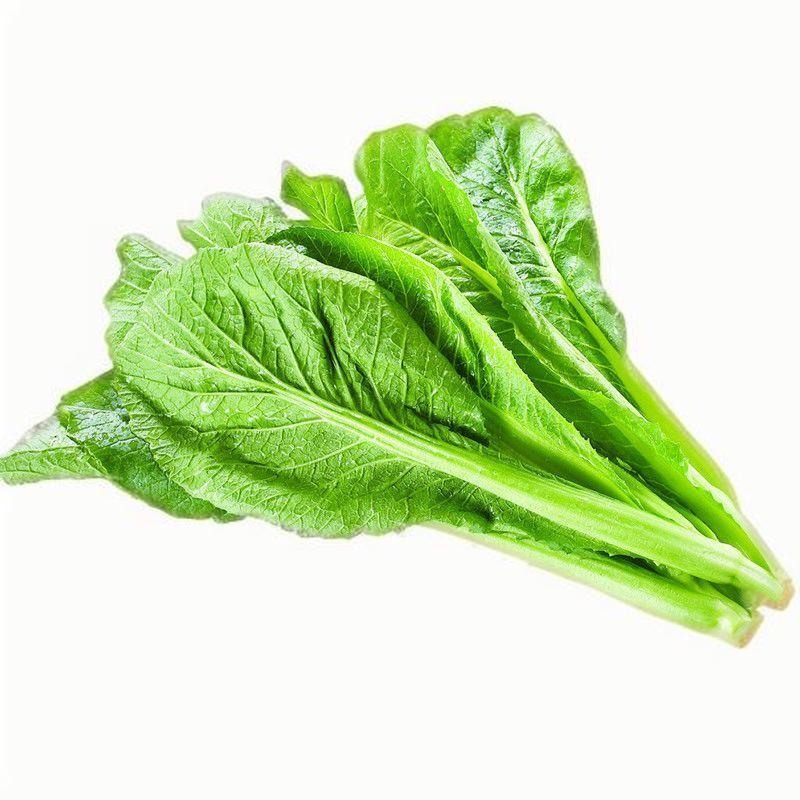春分時(shí)節(jié)巧養(yǎng)生 “3香”食物必吃早春